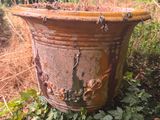 a plant that is sitting in a pot on the ground