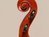 a close up of the back of a violin with a fiddle in the foreground