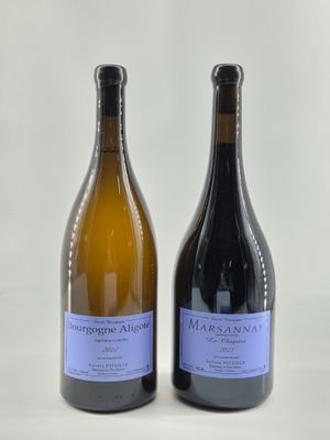 deux bouteilles de vin posées l'une à côté de l'autre sur une surface blanche