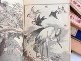 a book with a picture of a bird and birds on it