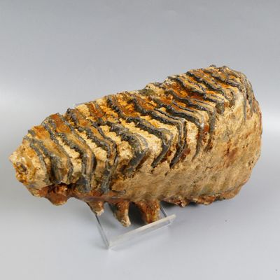 an image of a piece of rock on a clear stand