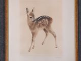 painting of a fawn in a frame on a wall