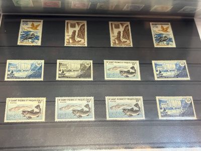 de nombreux timbres exposés sur une table
