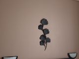 a picture of a bed room with a neatly made bed and a plant on the wall