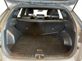a trunk of a car with a luggage bag in the back