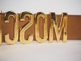 moschi belt with gold metal letters and a brown leather belt