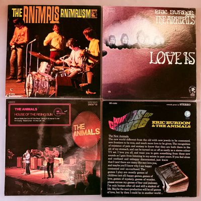Trois albums du groupe Jammin' sont exposés