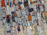 an abstract painting of a group of birch trees in a forest