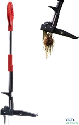 deux types différents d'outils de jardinage qui sont exposés