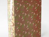 an old book with green and red designs on it