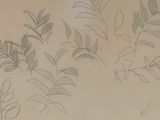 sketches of plants and leaves on a piece of paper
