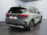Photo 5/16 du lot