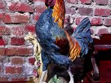 une statue représentant un coq posé sur une table en bois