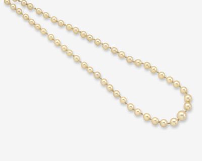 un collier de perles sur fond blanc