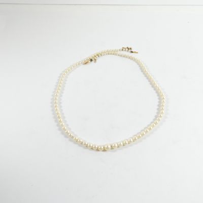 un collier de perles blanches muni d'un fermoir en or, posé sur un fond blanc