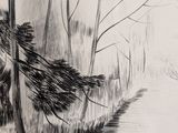 pencil drawing of a river in a wooded area with trees
