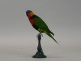 a colorful bird that is sitting on top of a black stand