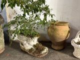 trois pots contenant des plantes, posés par terre