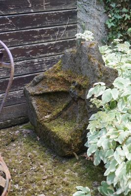 un oiseau perché sur une chaise dans le jardin