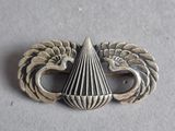 an image of a silver brooch with a bird on top of it