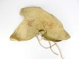 a piece of cloth that has been made to look like a fish