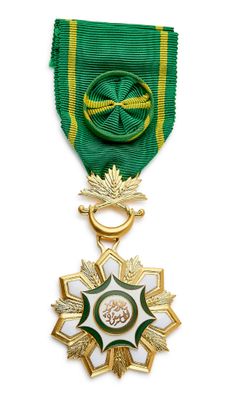 Gros plan sur une médaille sur fond blanc, accompagnée d'un ruban vert
