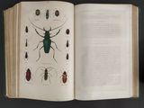 an open book with a picture of bugs and other insects on it