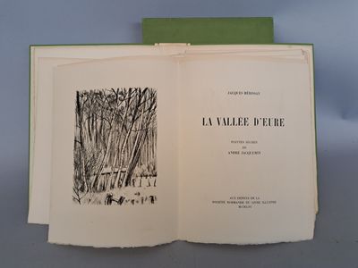 un livre ouvert dans lequel figure l'image d'une forêt