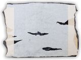 two birds flying in the sky on a piece of paper