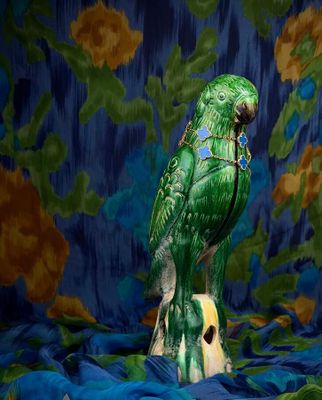 a green parrot sitting on top of a wooden post