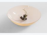 small plant in a white bowl on a white surface