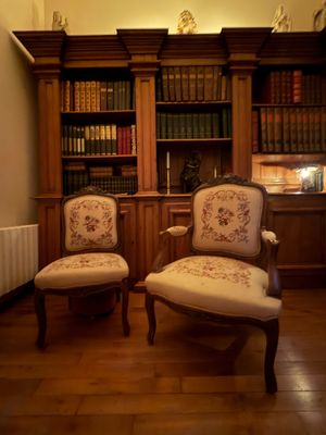 two chairs that are sitting in front of a bookshelf