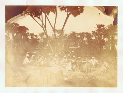 un groupe de personnes assises dans l'herbe sous un arbre