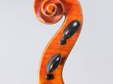a close up of a violin ' s bow and strings