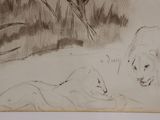 drawing of a bear and a cat laying on the ground