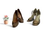two pairs of women ' s shoes and a potted plant on a white surface