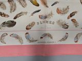 a book with a picture of a bunch of feathers on it