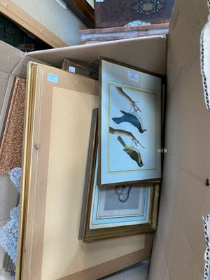 a cardboard box with a picture of birds in it