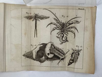 [BEAURIEU, Gaspard Guillard de]. Abrégé de l'Histoire des in…