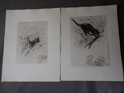 deux dessins représentant un oiseau et un oiseau perché sur une branche d'arbre