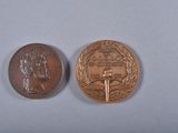 an image of a coin and a medal on a blue surface