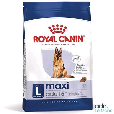 royal canin maxi adult dry dog food