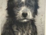 une photo en noir et blanc d'un chien à l'air triste