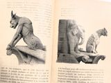 un livre ouvert sur lequel figure l'image d'un chat et d'un chien