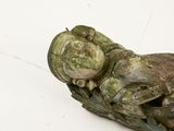 a statue of a baby laying on top of a piece of wood