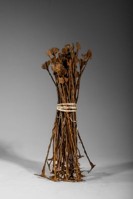 un bouquet de fleurs séchées dans un vase posé sur une table