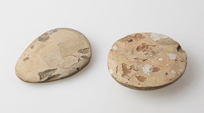 two pieces of rock sitting next to each other on a white surface