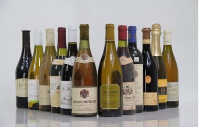 plusieurs bouteilles de vin alignées sur une table