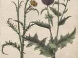 un dessin représentant un bouquet de fleurs posé sur une table