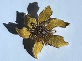 une broche en forme de fleur dorée sur un fond blanc